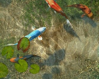 Koi Fish 3d Screensaver Descargar