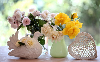 Photography Still Life Wallpaper