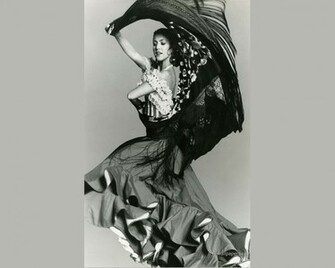 Flamenco Wallpaper Art Print Poster Desktop