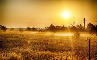 Summer Sun Field Wallpaper Pictures Sunrise