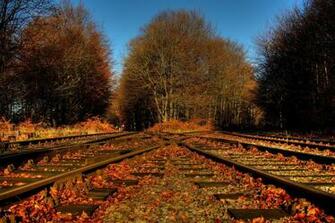 Trees Foliage Leaves Railroad Tracks Crossing Road Autumn Wallpaper