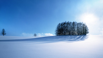 Winter Season Wallpaper