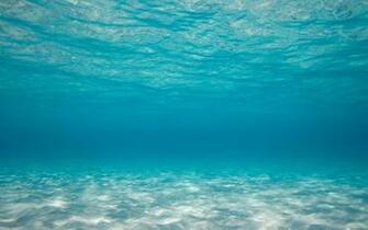 Under Ocean Wallpaper