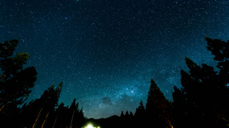 Starry Sky Night Stars Forest Nebula 4k HD Wallpaper