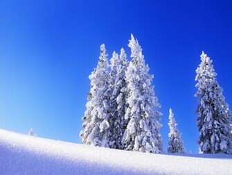 Winter Holiday Wallpaper