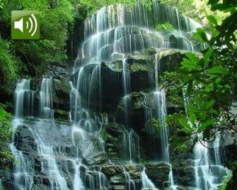 Animated Waterfall Screensaver With Sound HD Walls Find Wallpaper