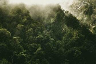 Sunshower 4k Wallpaper And Background
