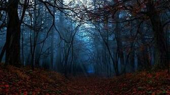 Autumn Forest Wallpaper For Desktop HD