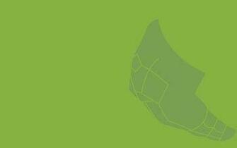Metapod Pok Mon HD Wallpaper Background