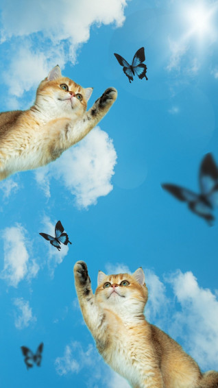 And Customizable Butterfly Wallpaper Templates