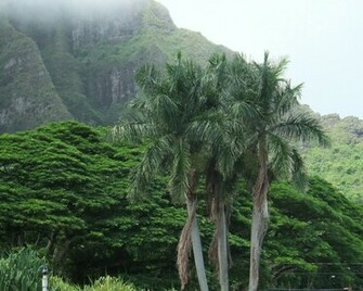 Hawaii Wallpaper