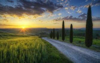 Wallpaper Road The Sun Rays Light Trees Field Morning Italy