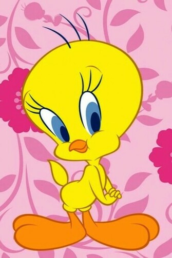 Tweety Cartoon iPhone Wallpaper And 4s