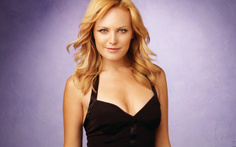 Malin Akerman Wallpaper Image Photos Picture