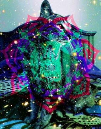Years Ago Notes Tagged Cat Psychedelic Cute Trippy