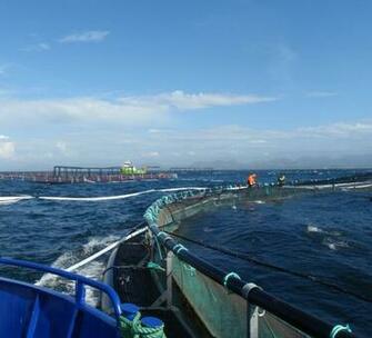 Safe Workplaces In Aquaculture Sintef