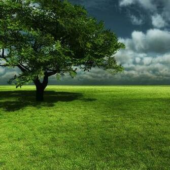 Spring iPad Wallpaper