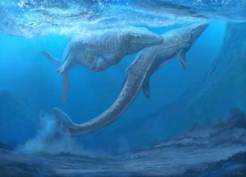 Mosasaurus Information About The Crystal Palace Statues