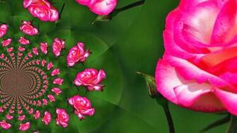 Pink And Lime Green Wallpaper