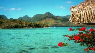 Desktop Background Tropical Beach Screen