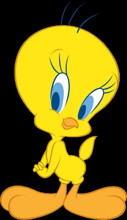 Tweety HD Wallpaper Beautiful Lovely