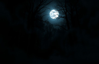 Dark Forest With Moon Wallpaper