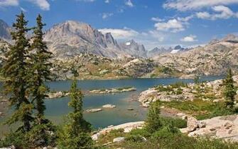 Bridger National Forest Wyoming Wallpaper