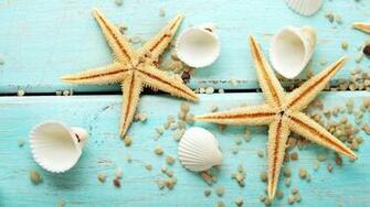 Seashells Wallpaper Collection Most Beautiful Places In