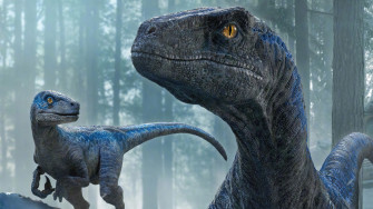 Velociraptor Jurassic World Dominion Wallpaper 4k 6311g
