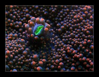 High Resolution Desktop Wallpaper For Widescreen Fullscreen