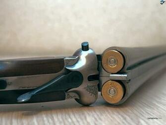 Shotgun With Shells