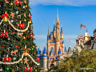 The Secret Code To Save On Disney Souvenirs Allears Net