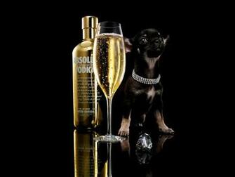 Pictures Absolut Vodka