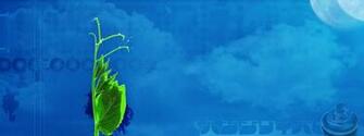Amazing Dual Screen Widescreen Wallpaper