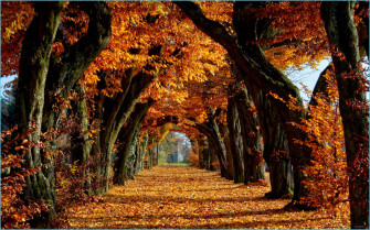 New England Autumn Wallpaper