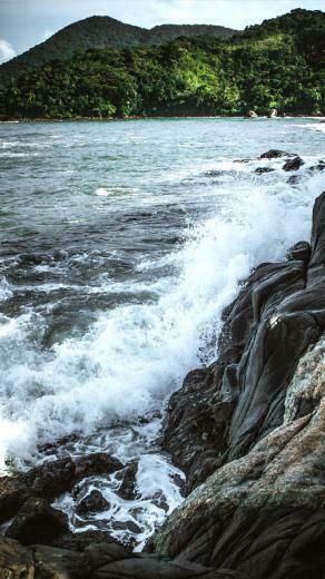 Beautiful Back To Nature iPhone Wallpaper Preppy