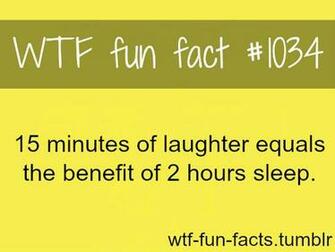 Funny Weird Facts High Resolution Wallpaper