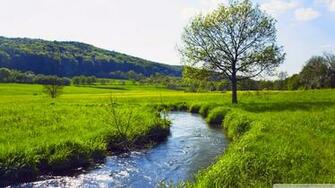 Summer Landscape Wallpaper