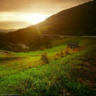 Beautiful Grassland Wallpaper
