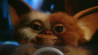 Wallpaper Movies Gremlins Gizmo Movie Stills