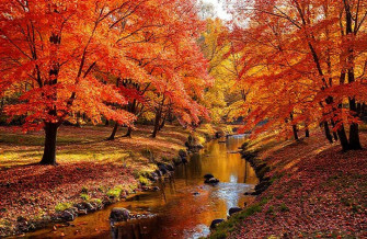 Autumn Wallpaper