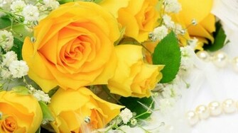 Yellow Roses Wallpaper HD For Walls Mobile Phone Widescreen