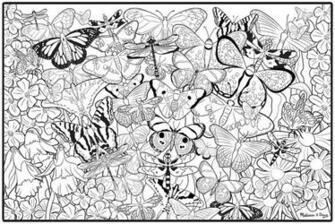 Melissa Doug Jumbo Color In Poster Butterflies Shipping