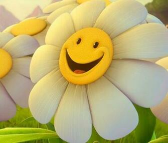 Happy Sunflower Wallpaper1200x1024 Wallpaper Screensaver