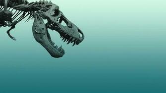 Abstract Minimalistic Dinosaurs Skeletons Wallpaper