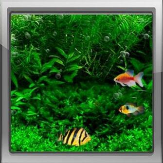 Tags Live Wallpaper Fish Tank 3d