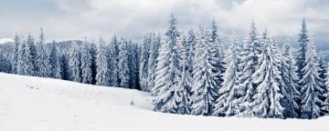 Winter Ultra HD Desktop Background Wallpaper For 4k UHD Tv Multi