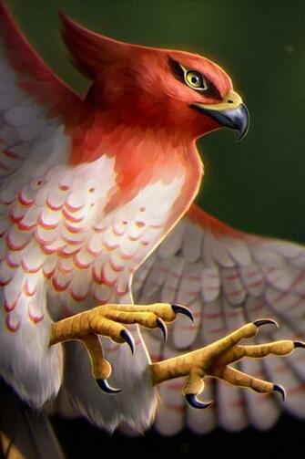 Talonflame Pokemon iPhone 4s HD 4k Wallpaper