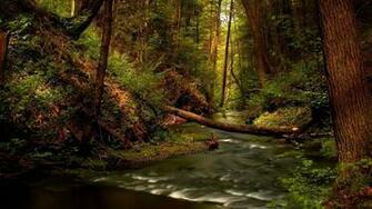 Unique Wallpaper Most Exotic River HD Part