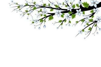Blue Flowers Branch With On A White Background